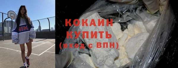 бошки Бронницы