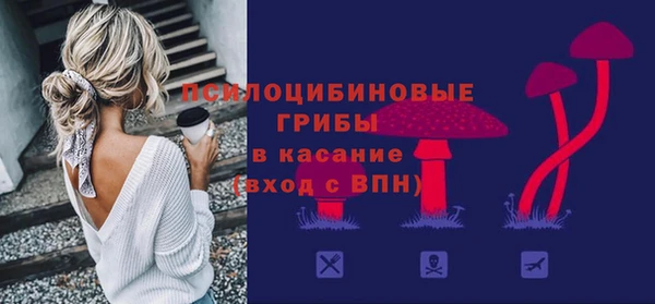PSILOCYBIN Богородск