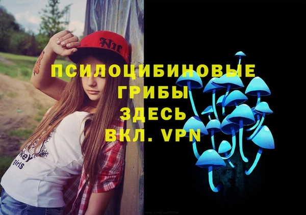 скорость Бородино