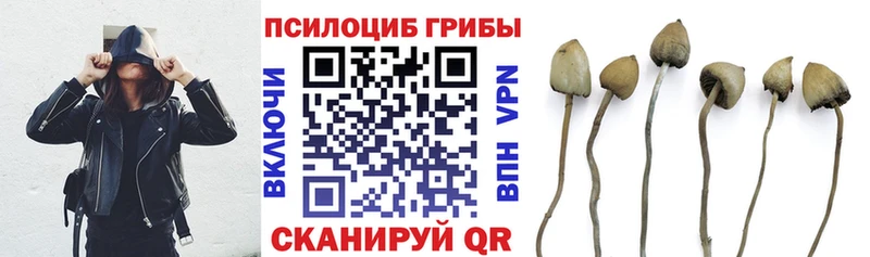 Псилоцибиновые грибы ЛСД  магазин продажи наркотиков  Калачинск 